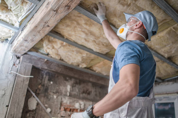 Best Specialized Insulation Services in Wfield, IN
